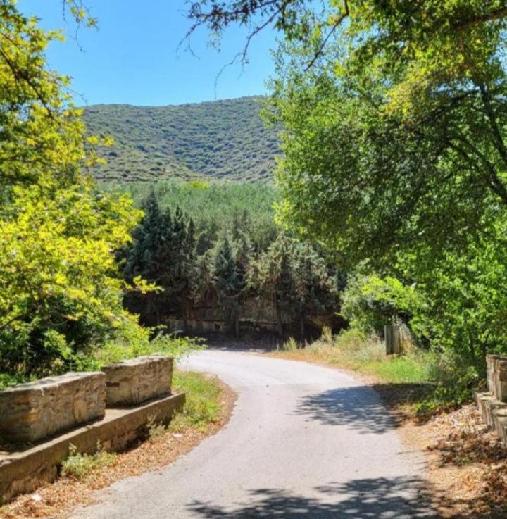 Alexandra Forest House Villa Kavala Buitenkant foto